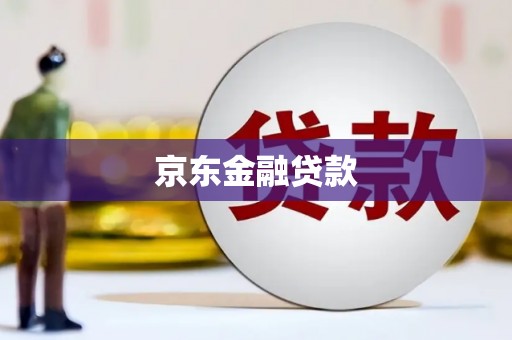 布拖京东金融贷款