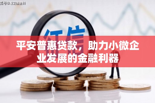 仙游平安普惠贷款，助力小微企业发展的金融利器