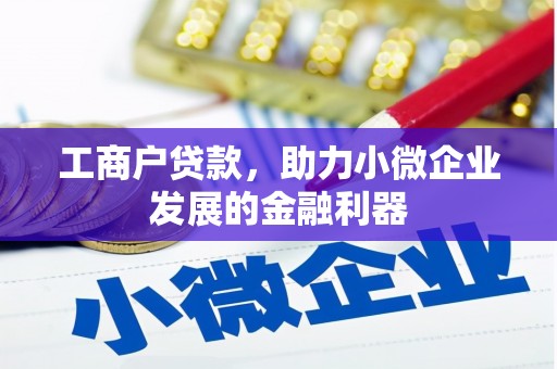 梓潼工商户贷款，助力小微企业发展的金融利器