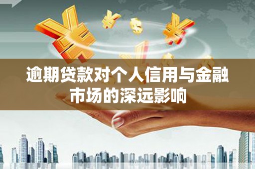 邵东逾期贷款对个人信用与金融市场的深远影响