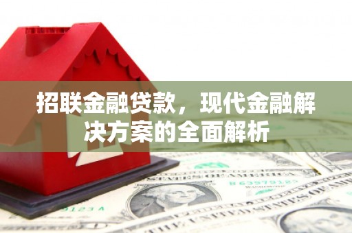 南州招联金融贷款，现代金融解决方案的全面解析
