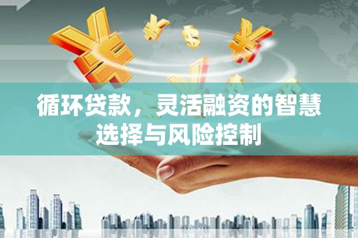 犍为循环贷款，灵活融资的智慧选择与风险控制