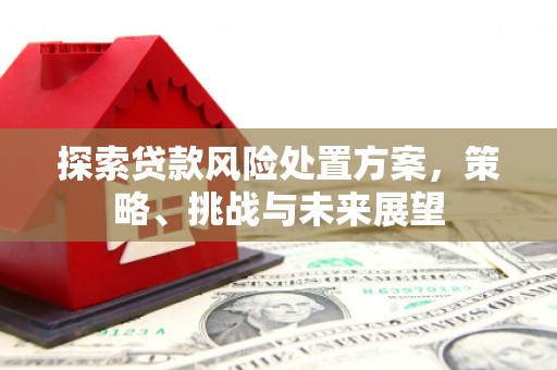 泾阳探索贷款风险处置方案，策略、挑战与未来展望