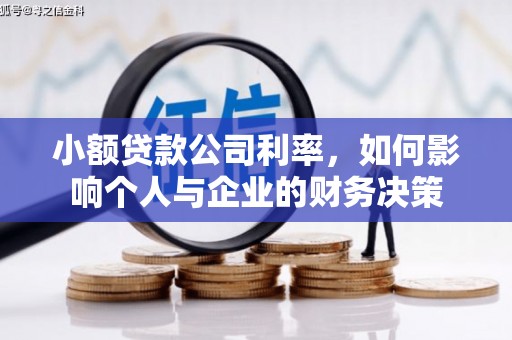 德保小额贷款公司利率，如何影响个人与企业的财务决策