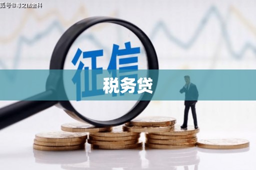道县税务贷
