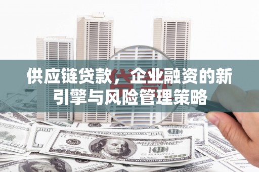 岱山供应链贷款，企业融资的新引擎与风险管理策略