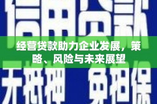 桃城经营贷款助力企业发展，策略、风险与未来展望