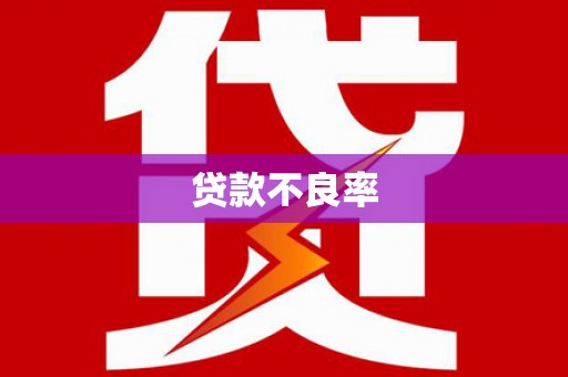 秦安贷款不良率