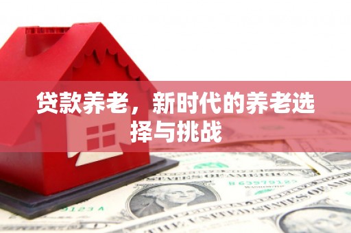 阳江贷款养老，新时代的养老选择与挑战