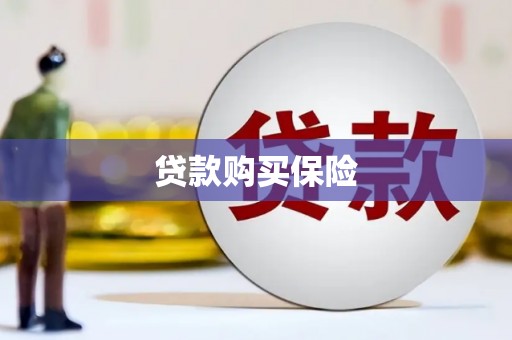 藁城贷款购买保险