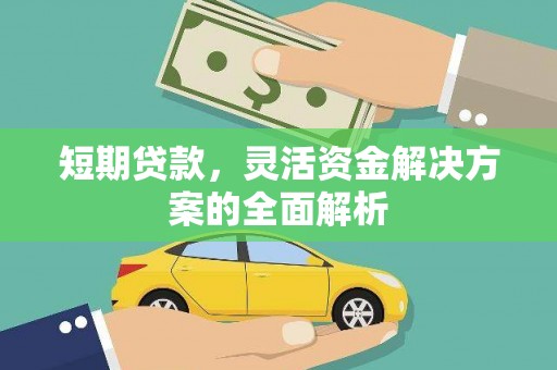 新巴尔虎左旗短期贷款，灵活资金解决方案的全面解析
