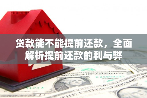 天元贷款能不能提前还款，全面解析提前还款的利与弊