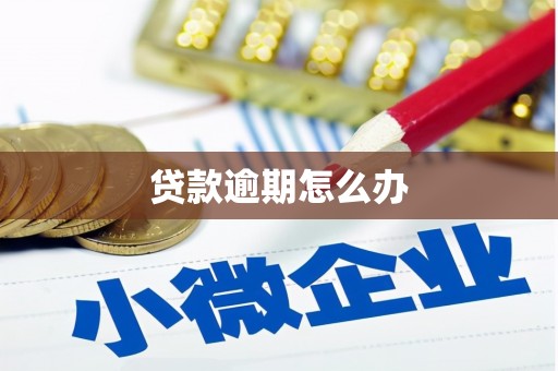 镇宁贷款逾期怎么办