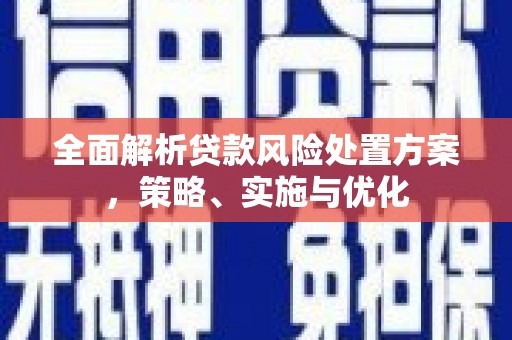 泰宁全面解析贷款风险处置方案，策略、实施与优化