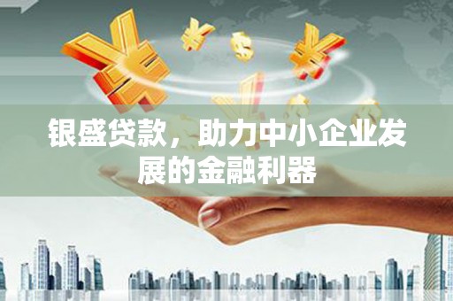 新社银盛贷款，助力中小企业发展的金融利器