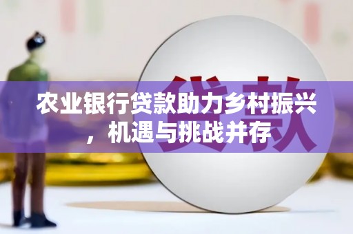 铁西农业银行贷款助力乡村振兴，机遇与挑战并存