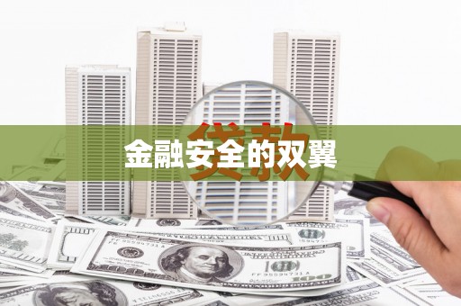 水上金融安全的双翼