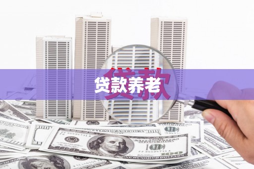 漳县贷款养老