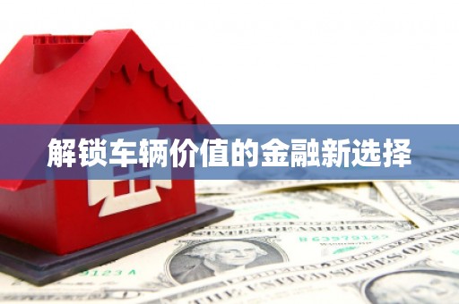 旌阳解锁车辆价值的金融新选择
