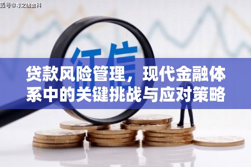 乾安贷款风险管理，现代金融体系中的关键挑战与应对策略