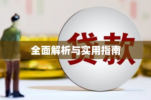 莱城全面解析与实用指南