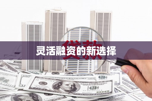 隆尧灵活融资的新选择