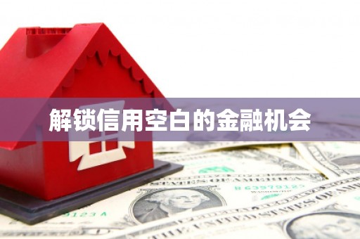 市中区解锁信用空白的金融机会