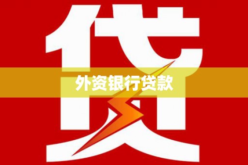 叶县外资银行贷款