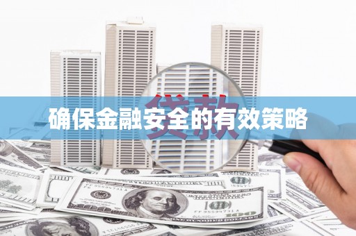 莎车确保金融安全的有效策略