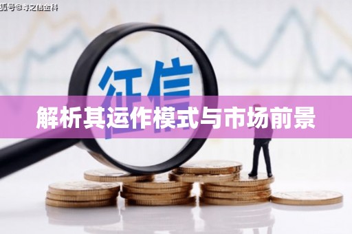 和田解析其运作模式与市场前景