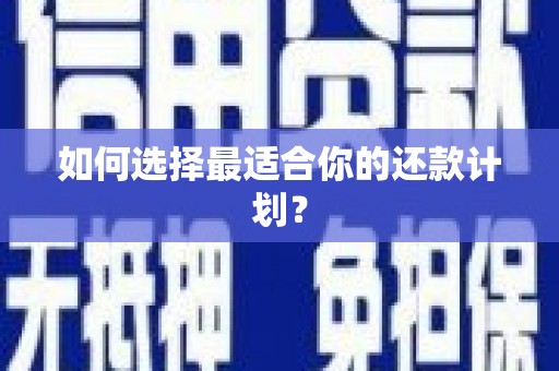 张湾如何选择最适合你的还款计划？