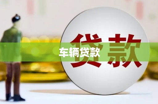 泸定车辆贷款